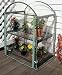 Growing Rack (Green) (63