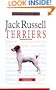 A New Owner's Guide to Jack Russell Terriers