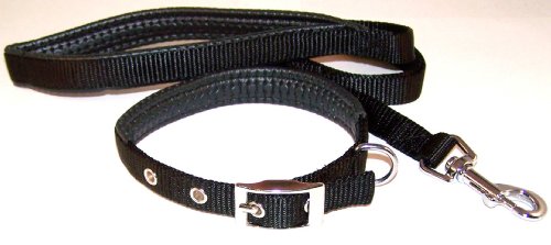 Padded Nylon Dog Collar & Leash Set 15