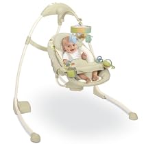 Bright Starts Ingenuity Full Size Swing, Kashmir
From Bright Starts
