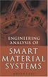 Engineering Analysis of Smart Material Systems