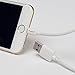 Pangea Apple-Certified Lightning Cable  5 Foot  for iPhone 6, iPhone 6 Plus, iPhone 5 (5/5S/5C), iPad Air, iPad Mini with Retina, iPad (4th gen), iPad Mini, iPod touch (5th gen), and iPod Nano (7th gen)  White.