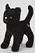 KooKeys Black Cat