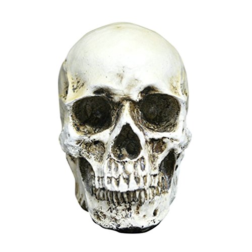 365mx®Halloween skull bonesSkull Haunted House Escape horror props Decorations Props