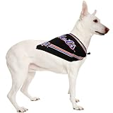 Dog Bandana - New York Mets - Small
