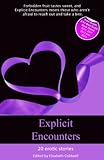 Explicit Encounters : Sex when you shouldn't ... ; 20 erotic stories