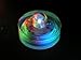 Box of 10 Acolyte Submersible Floralyte RGB (color changing)