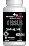 Cissus Quadrangularis, 40% total ketosterones, 20% 3-ketosterone 30 count 500mg Vegetarian capsule, (30 Capsules (trial))
