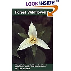 Forest Wildflowers