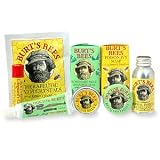 Burts Bees - Natural Remedy Kit, 1 kit