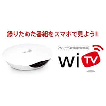 COSTEL JAPAN インターネット映像通信システム WiTV CVS150-CA