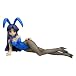 涼宮ハルヒの憂鬱 朝倉涼子 バニーver. (1/4スケールPVC塗装済み完成品)