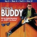 Buddy Holly - Das Musical
