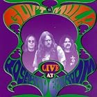Click here to buy Live at Roseland Ballroom by  Gov't Mule .