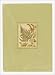Book Ferns Postal Cards: 24 Postal Cards