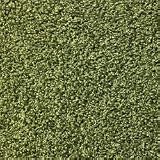 Puschel grün Hochflor Shag Teppich 400x500 cm