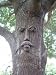 Willow Tree Face