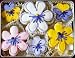 Flower Power Sugar Cookies