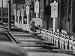 Telephoto Shot of a Woman Puting Coins in a Parking Meeter Photographic Poster Print by Ralph Crane, 16x12
