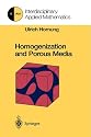 Homogenization and Porous Media (Interdisciplinary Applied Mathematics)