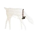 200LT GRAPEVINE FEEDING DOE - 27