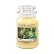 Yankee Candle - 22 oz. Candle Jar Featured Scent SWEET HONEY SUCKLE