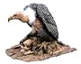 Lifesize Wicked Vulture Bird of Prey Halloween Prop
