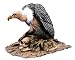 Lifesize Wicked Vulture Bird of Prey Halloween Prop