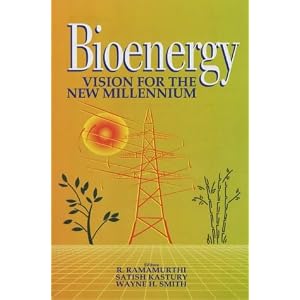 Bioenergy: Vision for the New Millennium