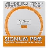 SIGNUM PRO�i�V�O�i���v���j�y�|���v���Y�}1.23�z�P����