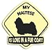 My Maltese Is Love in a Fur Coat Magnet