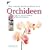 Das gro�e Kosmos Buch der Orchideen: �ber 200 Arten und Hybriden. Pflege und Vermehrung