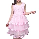 Ruideng ガールズサマープリンセスドレススカートノースリーブのドレス ワンピースのスカートのドレスチュチュの公演発表会 結婚式 入園式 演奏会 ケーキベール (120cm, ピンク)