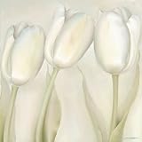 Annemarie Peter-Jaumann, White Elegance 69x69, Dekoboxbild (keine Einrahmung nötig)