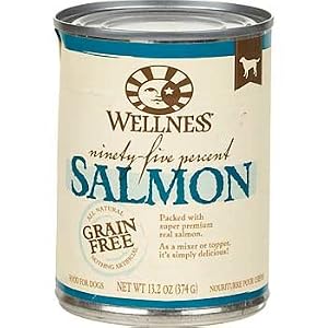 Wellness 95and#37; Salmon Adult Canned Dog Food