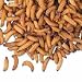 <B>Bird Grub<sup>TM</sup> Package of 1250