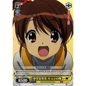 ���@�C�X�V�����@���c �y ���w�ܔN�� �L�����̖� [�z��] �z SYWE09-04-PR �s���{�n���q�̗J�T�t