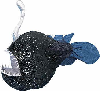 4113N9DVBNL Plush Scrooge Devil Fish Stuffed Toy