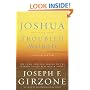 Joshua in a Troubled World: A Story for Our Time