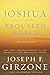 Books : Joshua in a Troubled World: A Story for Our Time