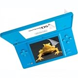 Nintendo DSI Scratch - Proof Protection