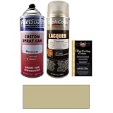 12.5 Oz. Light Neutral (Interior) Spray Can Paint Kit for 2010 Saab 9-5 (WA9772) by PaintScratch Automotive Touch Up Paint