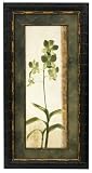 Second of two-part botanical framed print series