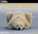 Polar Bears National Geographic 2007 Wall Calendar