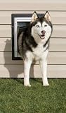 Wall Entry Pet Door - Large
