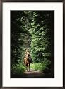 Horseback riding on an Emerald Lake Lodge bridle trail Photography Framed Art Poster Print by Michael Melford, 21x29