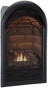 Hearth Sense Dual Fuel Fireplace Insert in Black Finish