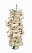 Paradise Toys Natural Knots n" Blocks 6-Inch W by 15-Inch L from Caitec Corp