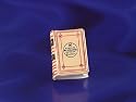 Miniature Websters Dictionary Book with Blank Pages