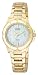Discover Citizen Eco-Drive Watches for Women